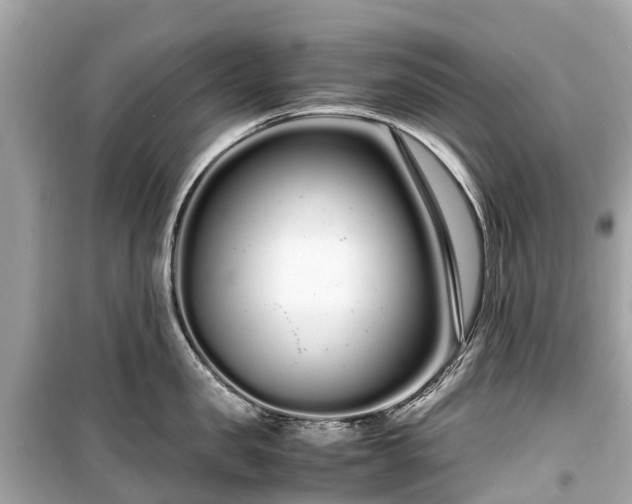 X0000099430957200805161107