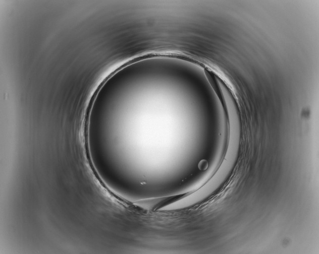X0000099430959200805161107