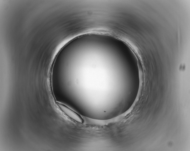 X0000099430960200805161107