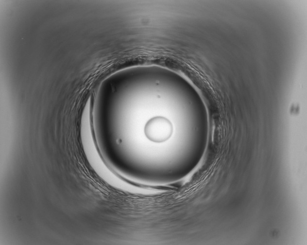 X0000099430961200805161106