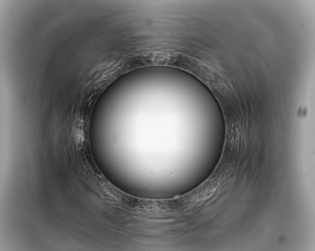 X0000099430962200805161106