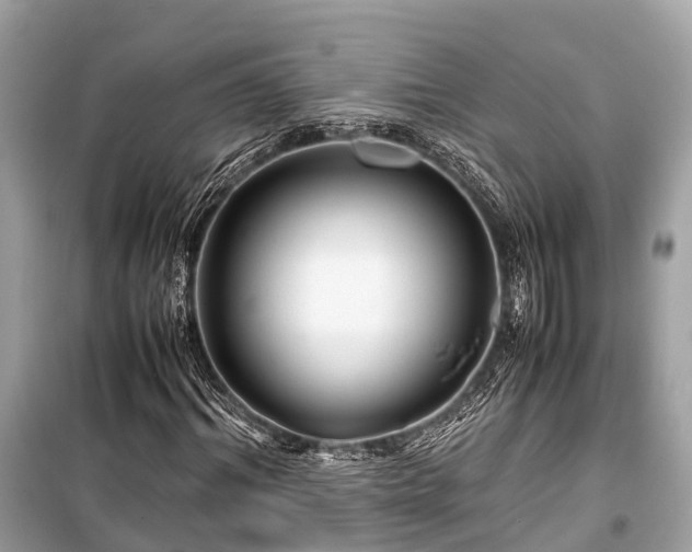 X0000099430964200805161106