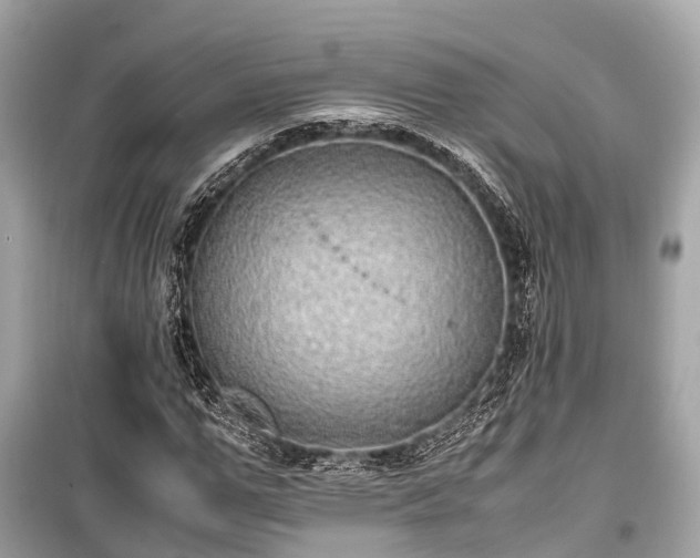 X0000099430967200805161106