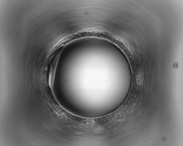 X0000099430968200805161106