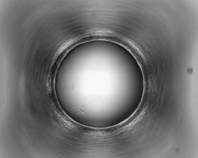 X0000099430970200805161106