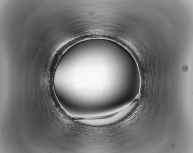 X0000099430971200805161106