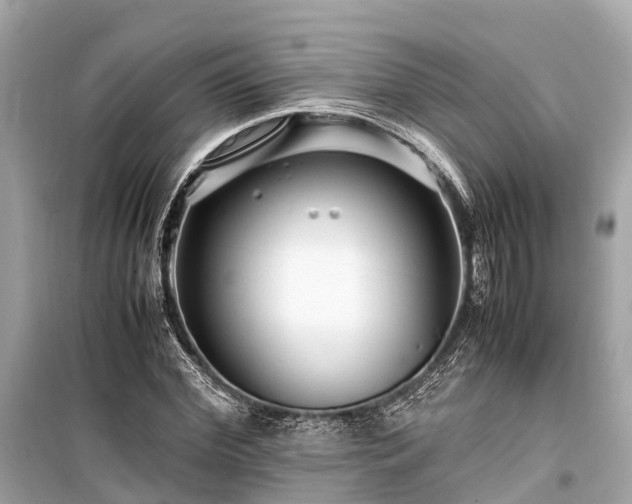 X0000099430972200805161106