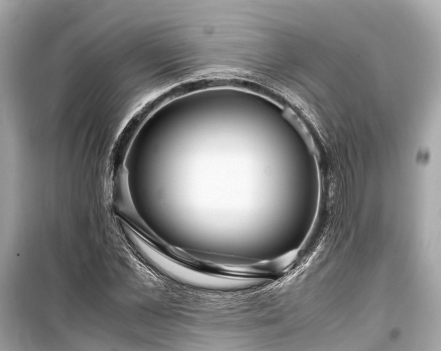 X0000099430973200805161106