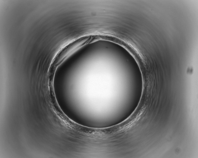X0000099430974200805161106
