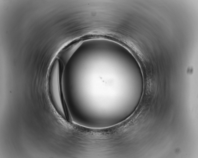 X0000099430976200805161106