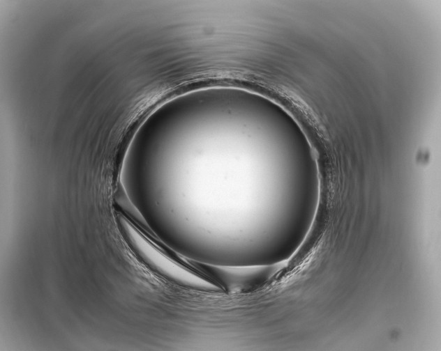 X0000099430977200805161106