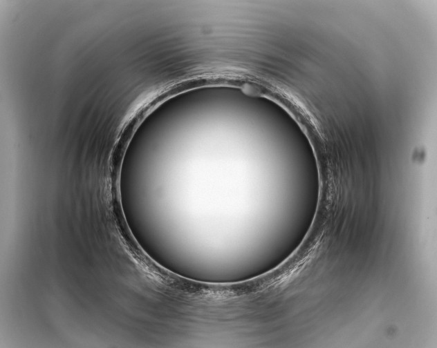 X0000099430978200805161106