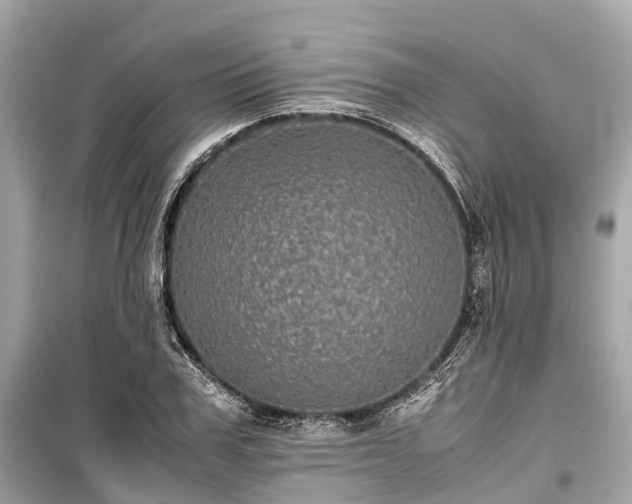 X0000099430979200805161106