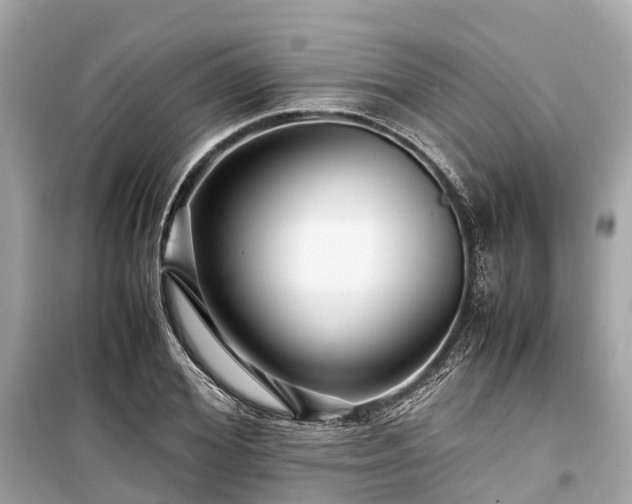 X0000099430980200805161106