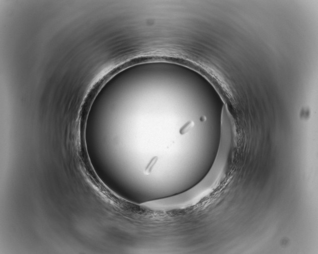 X0000099430982200805161106