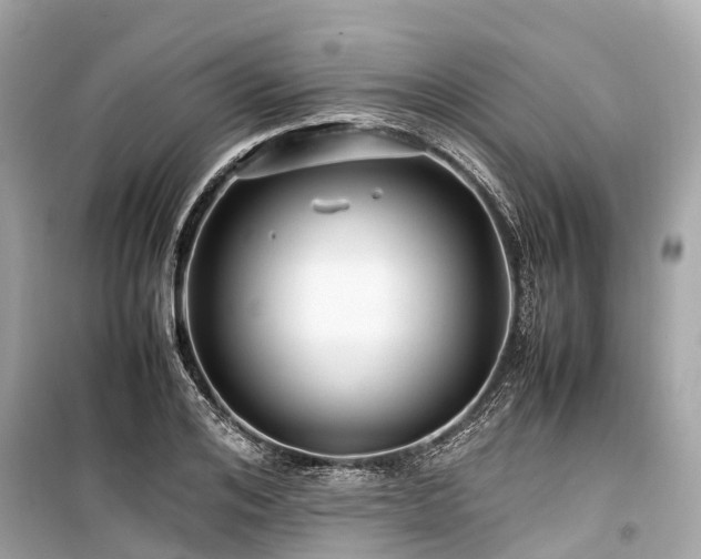 X0000099430984200805161106
