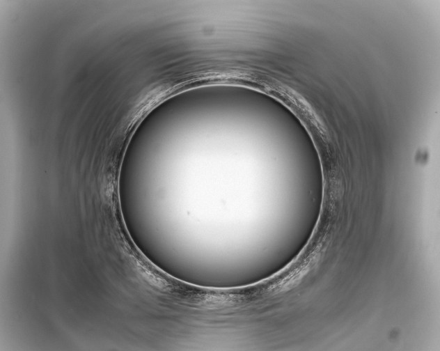 X0000099430985200805161106