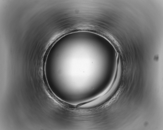 X0000099430986200805161106