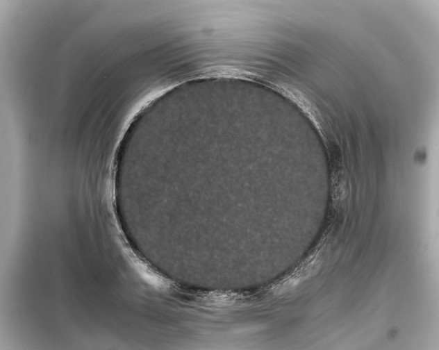 X0000099430987200805161106
