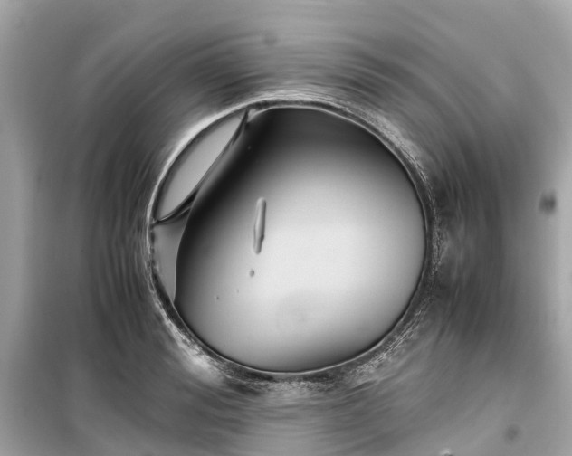X0000099430988200805161106