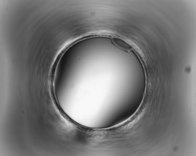 X0000099430989200805161106