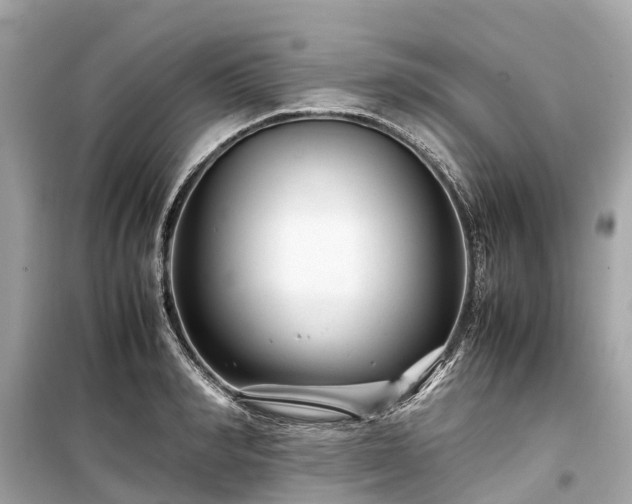 X0000099430990200805161106
