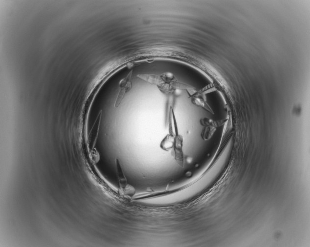 X0000099430994200805161106