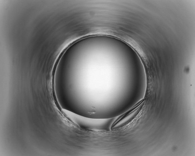 X0000099430996200805161106