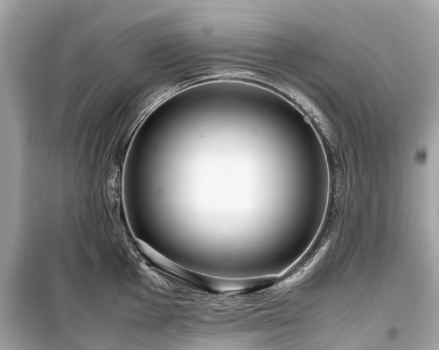 X0000099431001200805161106
