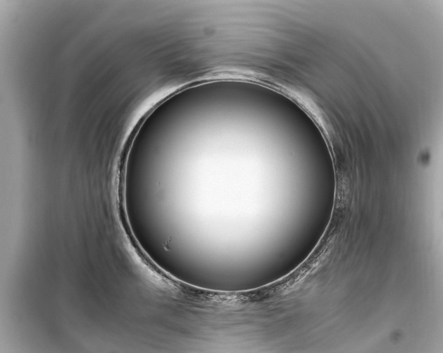 X0000099431003200805161106