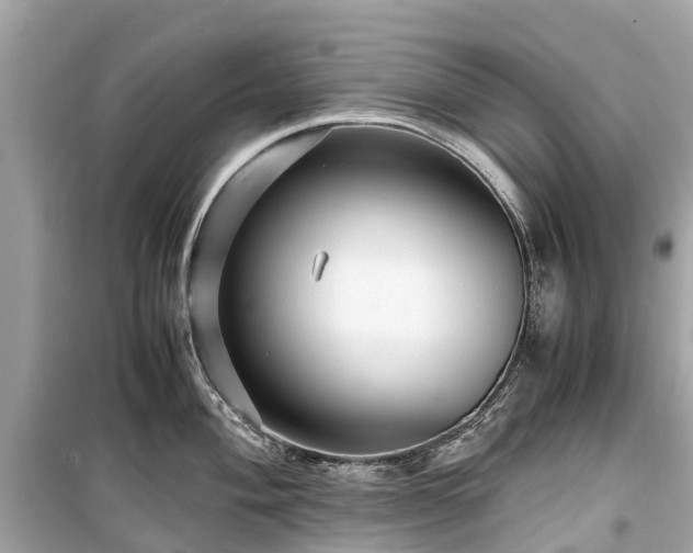 X0000099431004200805161106