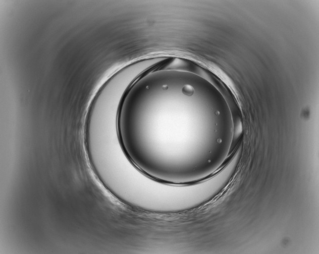 X0000099431005200805161106
