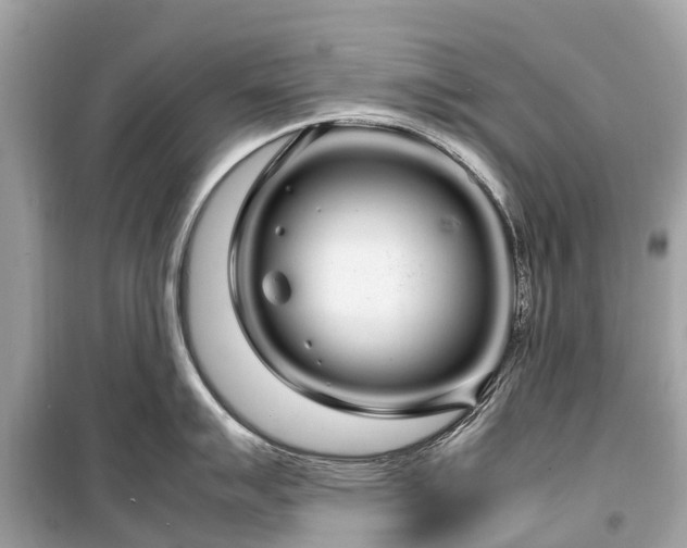 X0000099431007200805161106