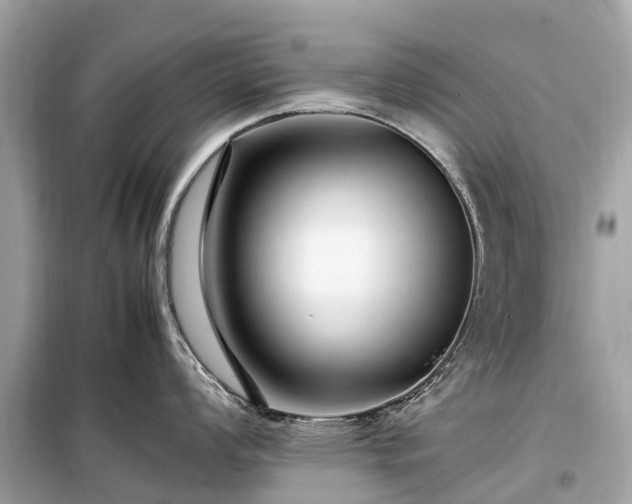 X0000099431008200805161106