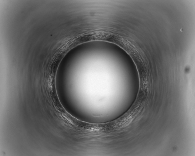 X0000099431010200805161105