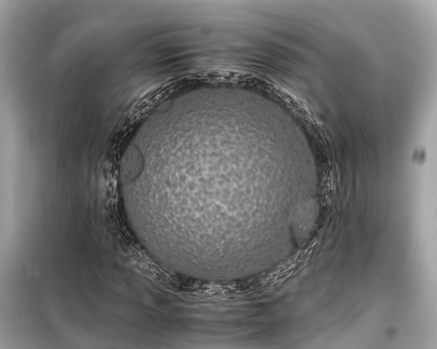 X0000099431013200805161105