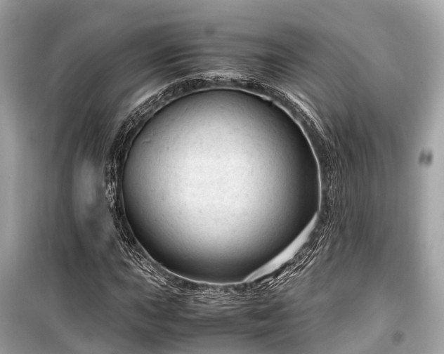 X0000099431015200805161105
