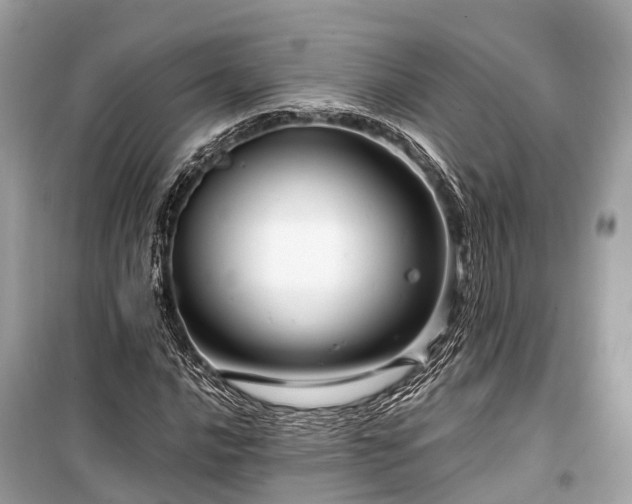 X0000099431016200805161105