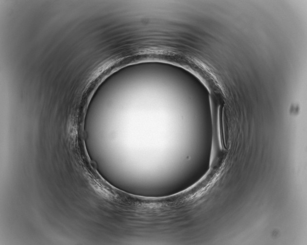 X0000099431017200805161105