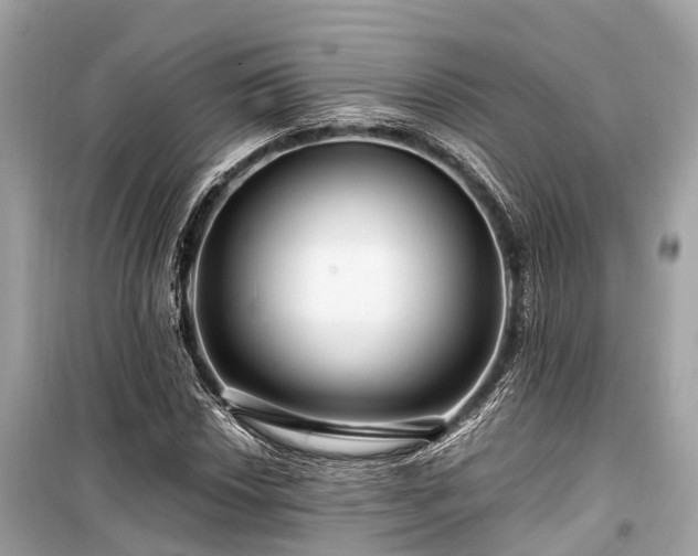X0000099431018200805161105