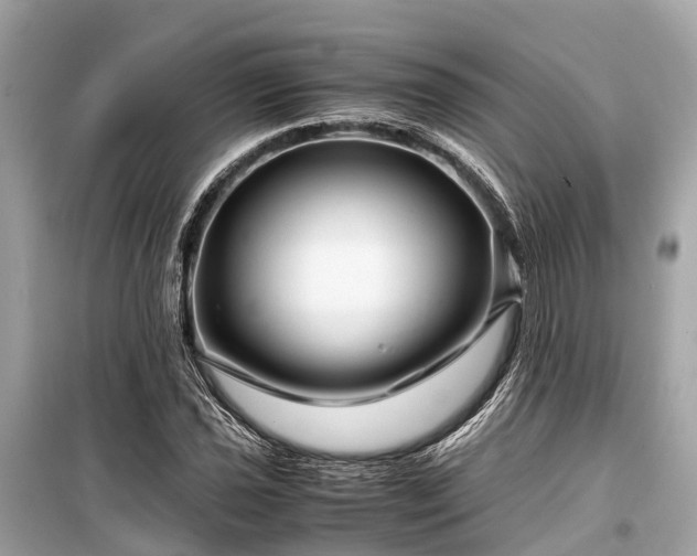 X0000099431021200805161105