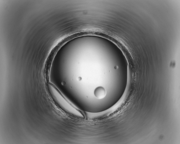 X0000099431022200805161105
