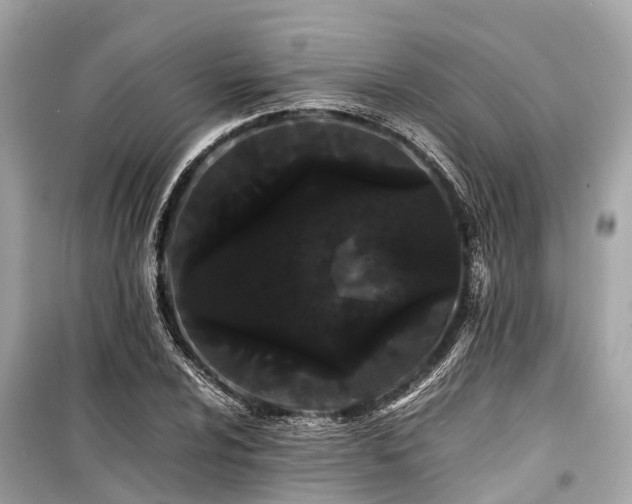 X0000099431024200805161105