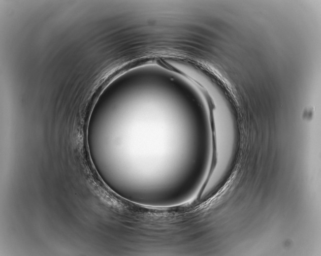 X0000099431025200805161105