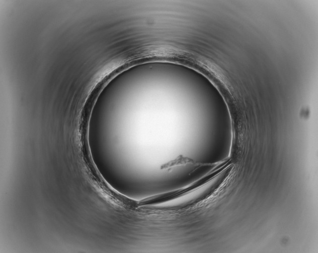 X0000099431026200805161105