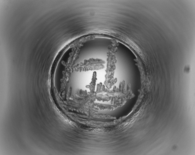 X0000099431028200805161105
