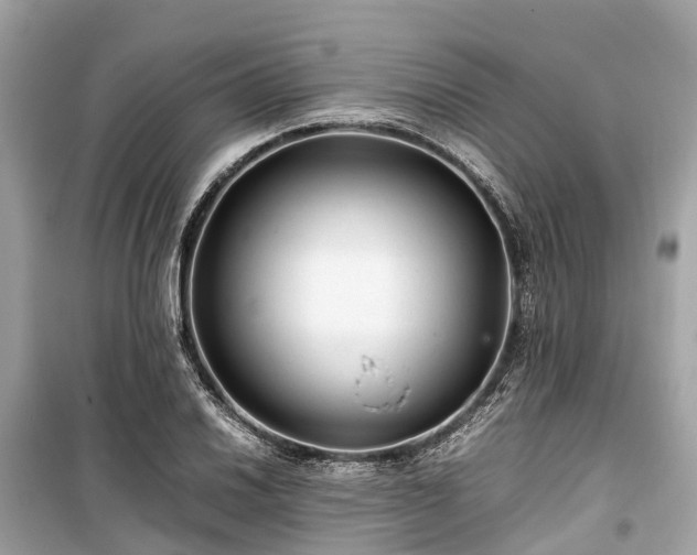 X0000099431030200805161105