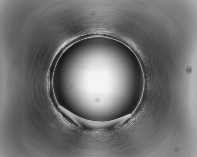 X0000099431032200805161105