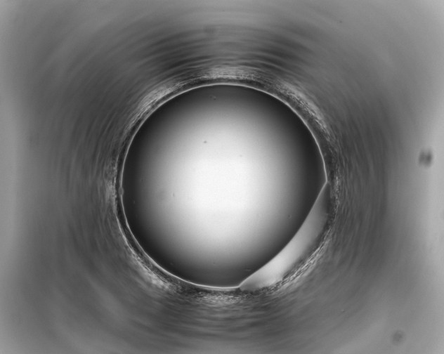X0000099431033200805161105
