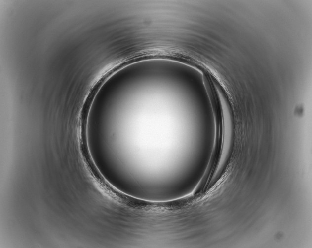 X0000099431034200805161105